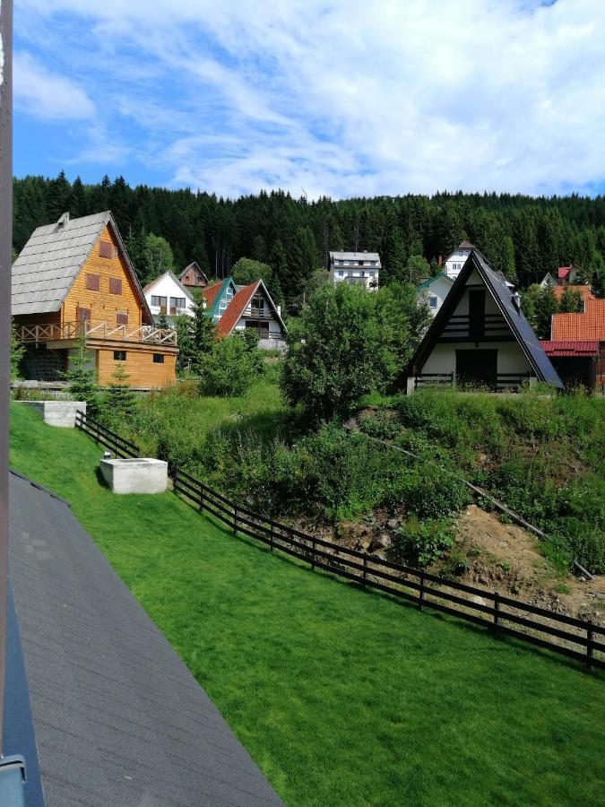 Vila Irina Kopaonik - Apartman Jovana Exterior foto